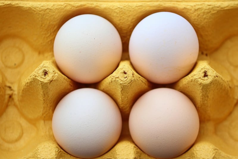 Egg Carton Organizers